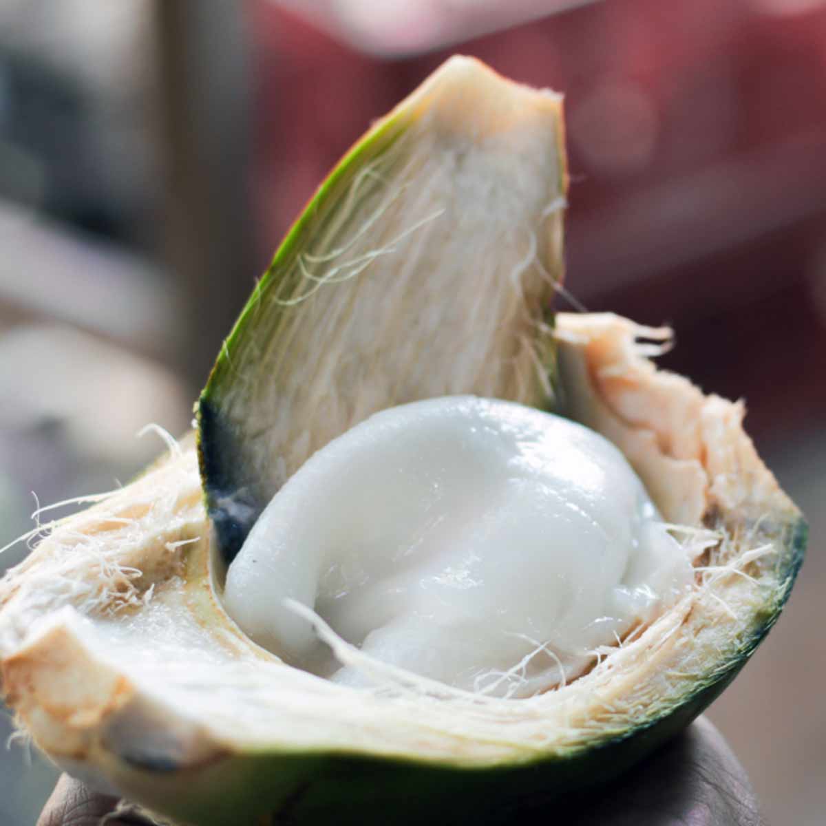 coconut cream benefits health skin