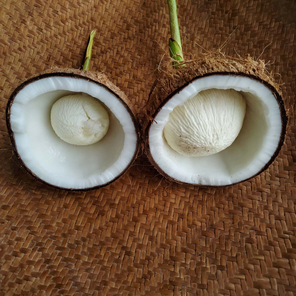 coconut flower