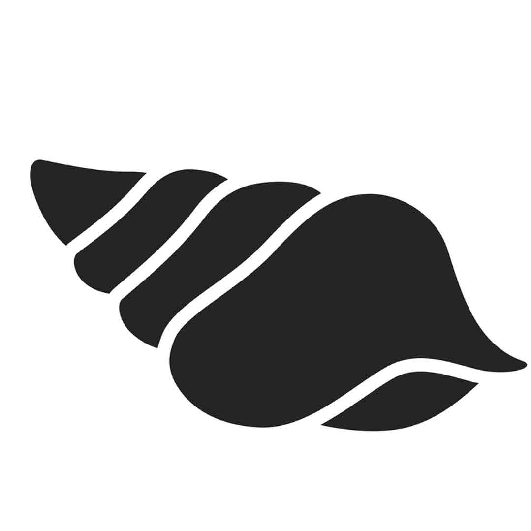 conch shell vastu symbol to attract money