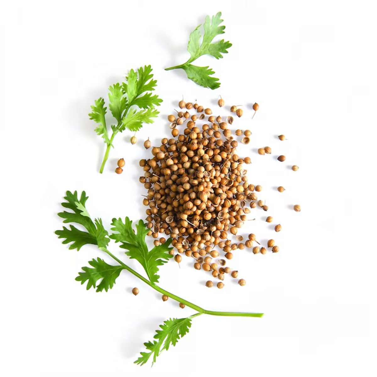 थायरॉइड में मेटाबॉलिज्म बूस्ट करने के लिए डाइट में शामिल करें ये 3