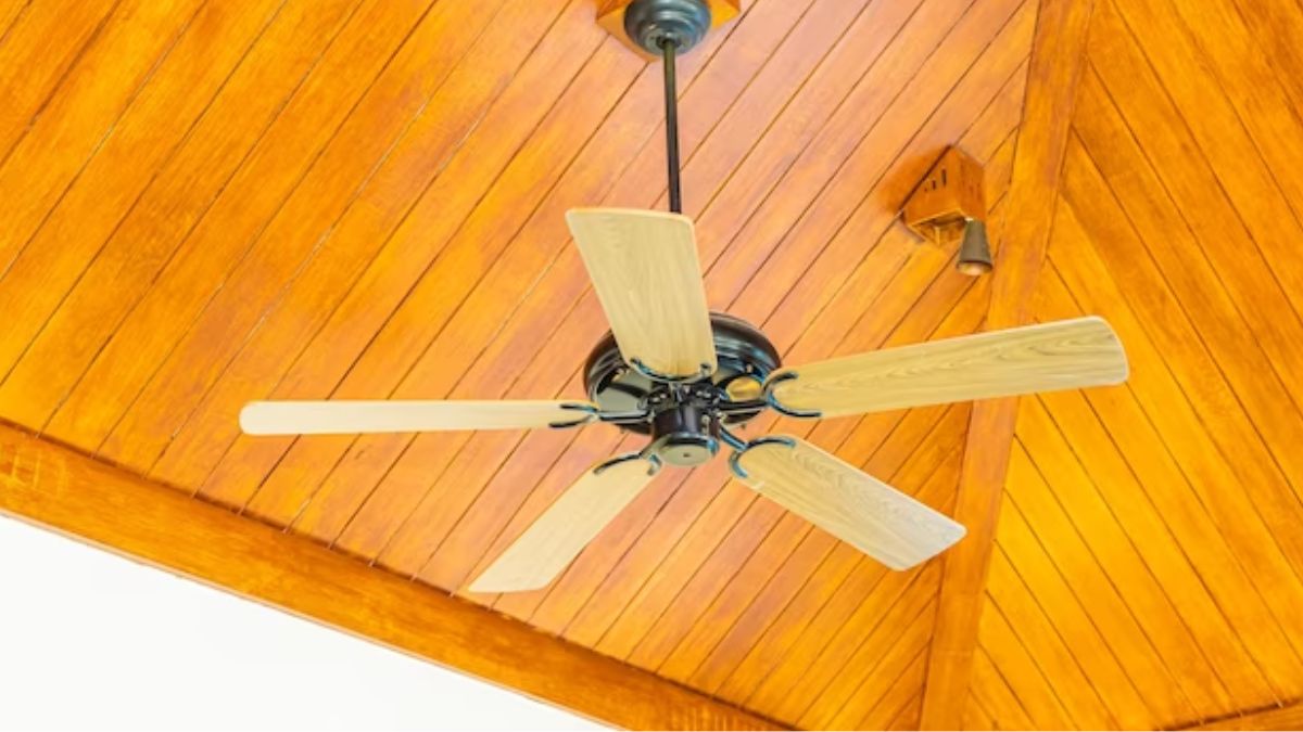 Amazon Great Freedom Festival Sale 2023 अब नहीं बचा ज्यादा वक्त, जल्दी