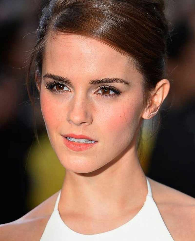 emma watson equality