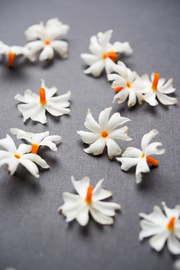 favourite flower of hindu god