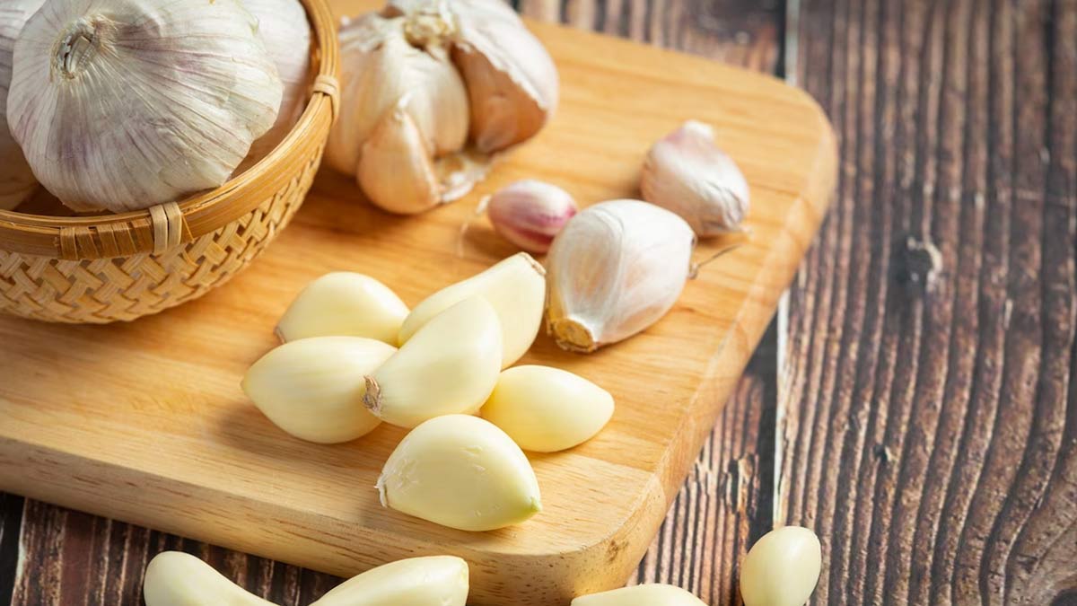 Garlic Benefits: लहसुन खाने के लिए अपनाएं यह तरीका, पेट से जुड़ी सारी  परेशानियां होंगी दूर | garlic cloves for stomach problems | HerZindagi