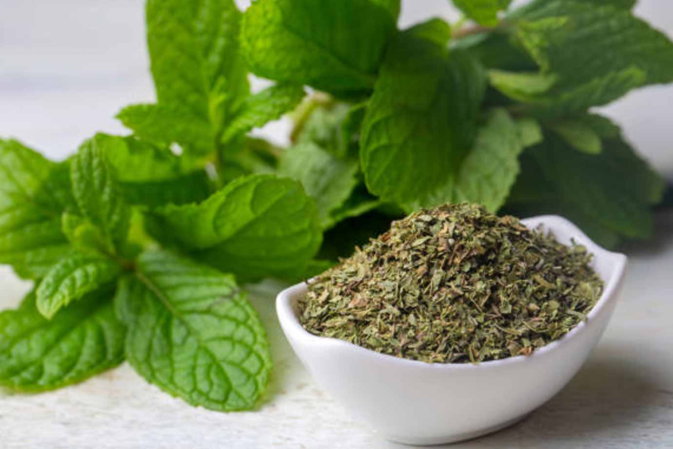 DIY Air Fresheners For Home Use These Natural Ingredients To Make Your