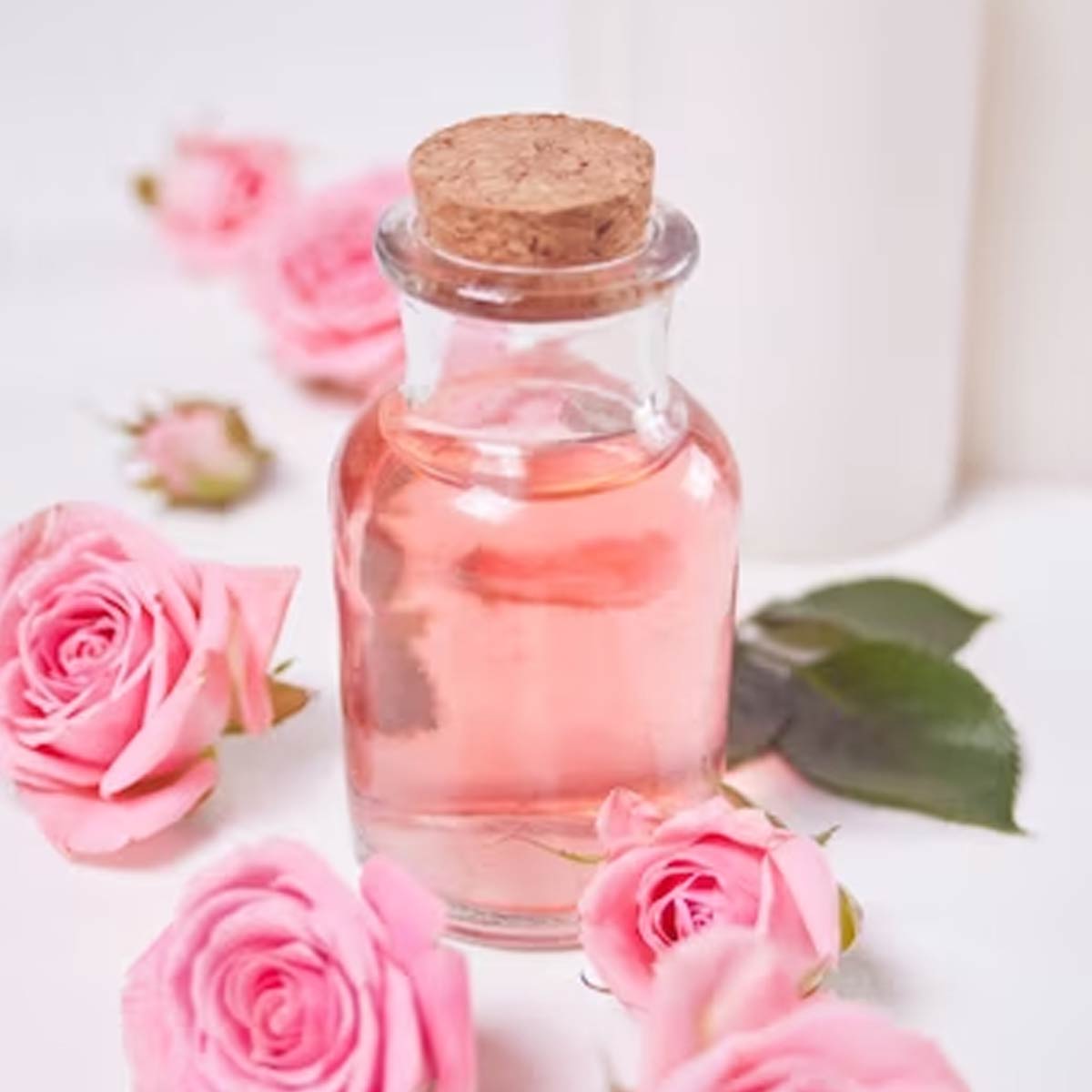 how to make rose water at home