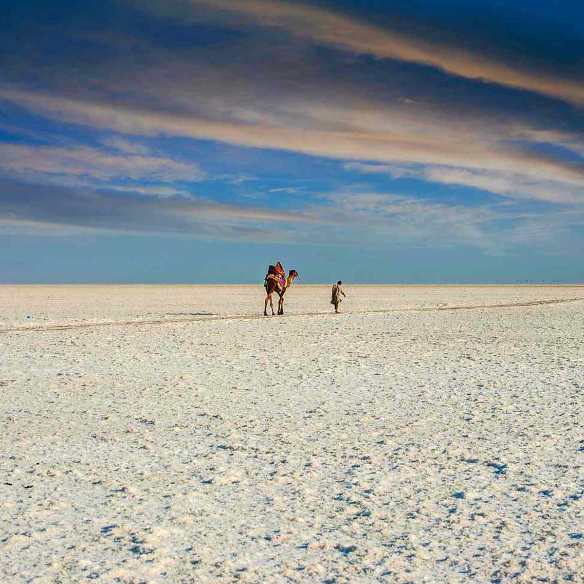 how to reach in rann of kutch in hindi