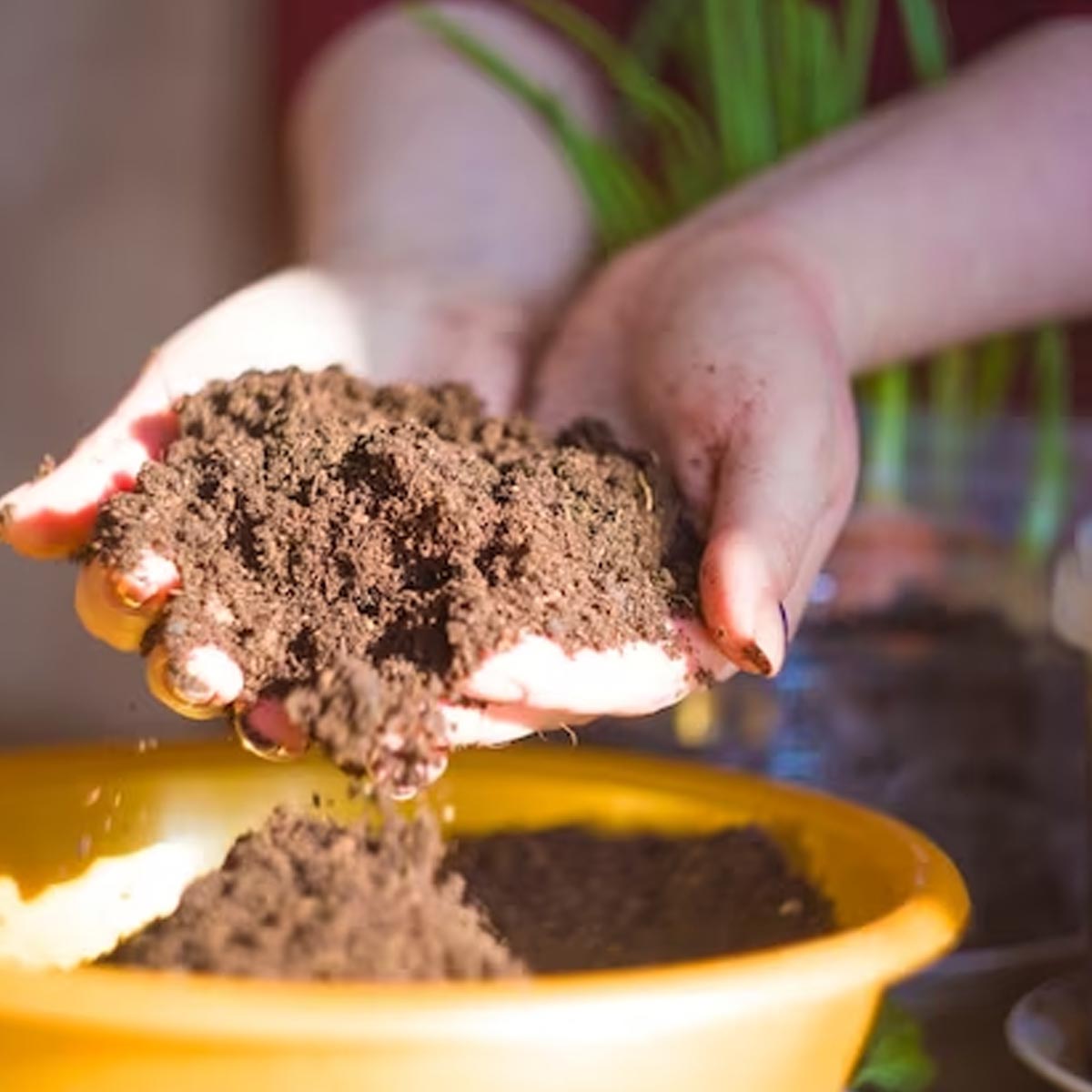 how to sterilize old potting soil