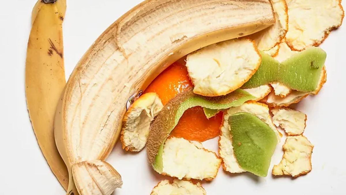 how to use vegetable peels for plants bugs removal