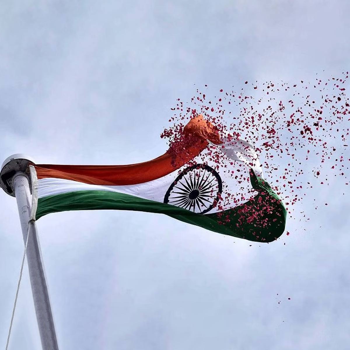 independence day  theme