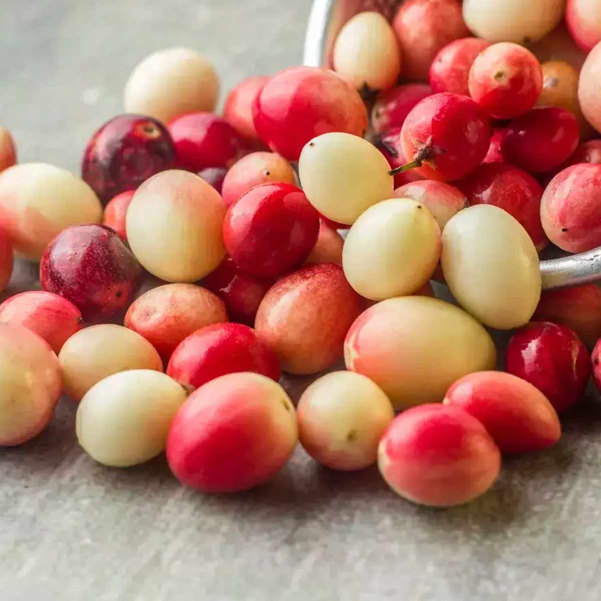ingredients for karonda chutney