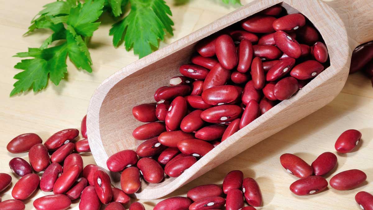 Kidney Beans Benefits : தினமும் ஒரு கைப்பிடி அளவு கிட்னி பீன்ஸ் ...