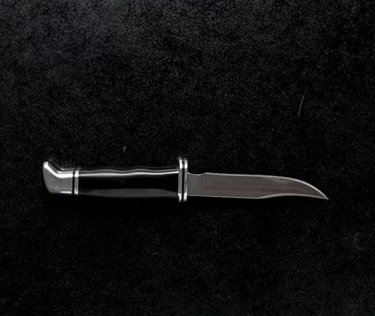 क्या लंबा चाकू खरीदने पर हो सकती है जेल? बहुत कम लोगों को मालूम हैं ये