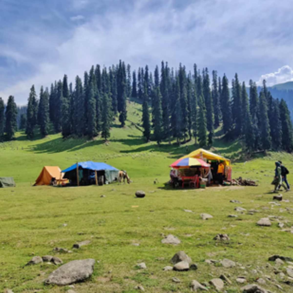 lolab valley kashmir