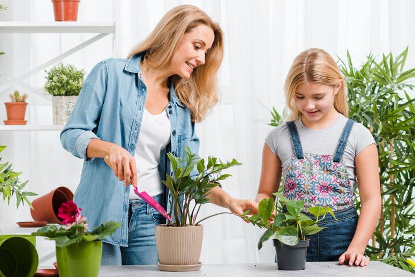 Gardening tips सितंबर में घर पर बोई जाने वाली सब्जियां कहां से लें