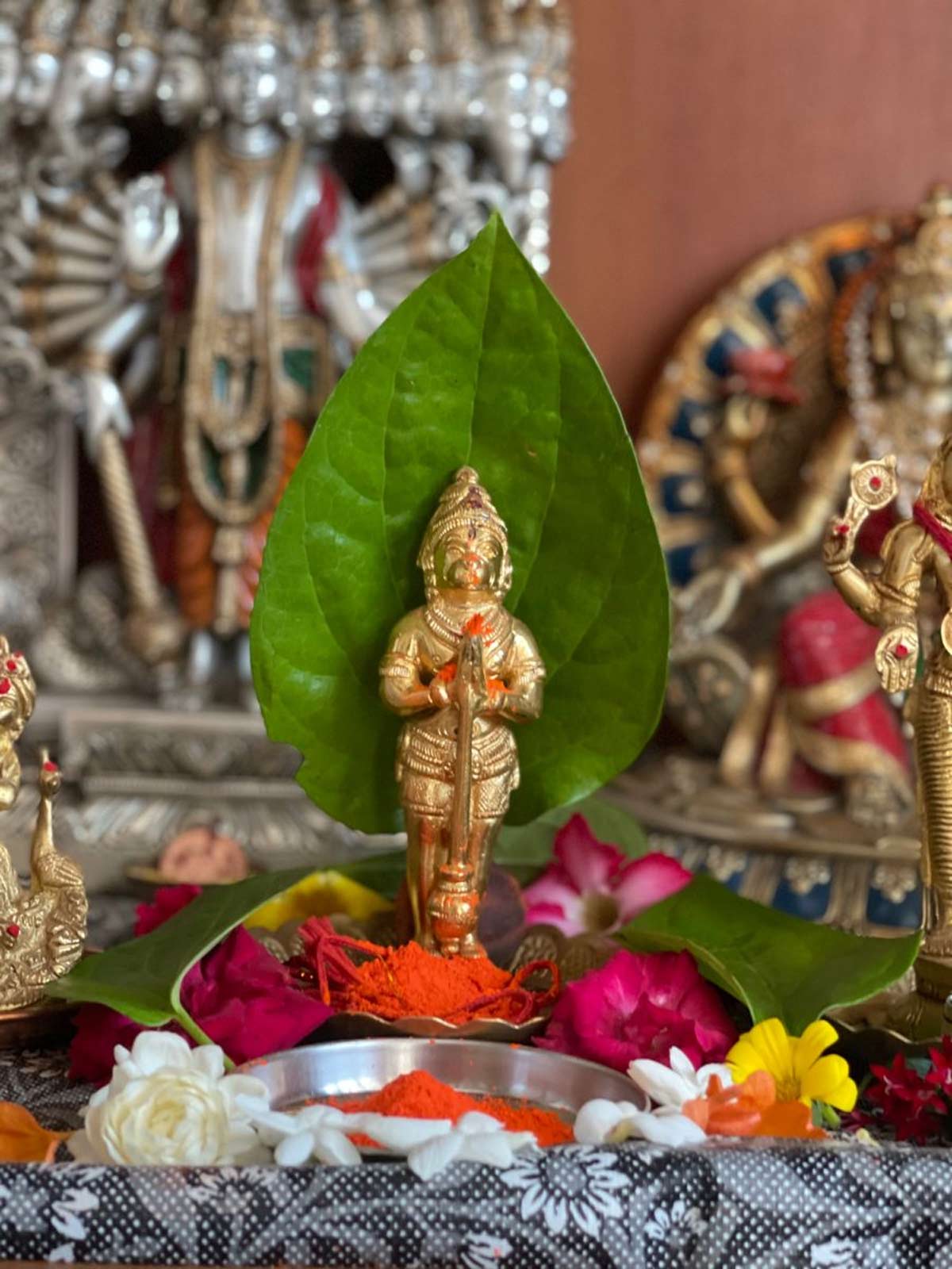 people who are favourite to lord hanuman