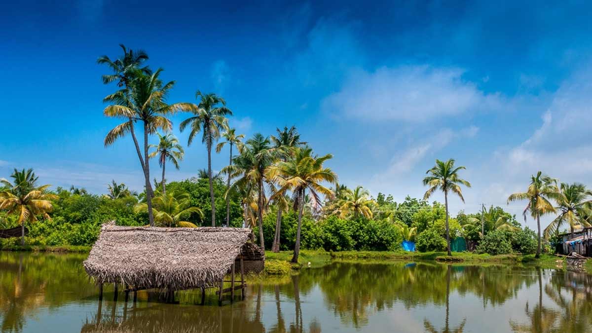 Top 5 Must-Visit Hill Stations Near Kochi For A Perfect Getaway