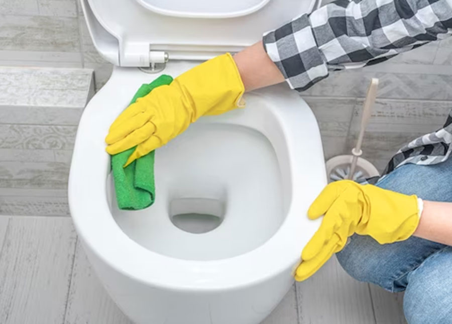 toilet cleaning powder