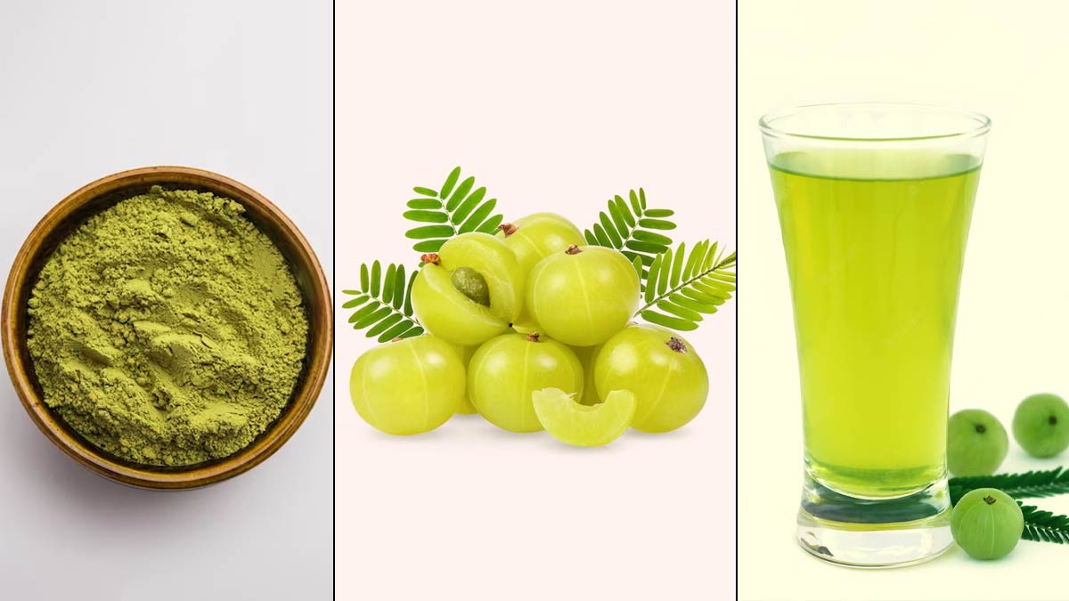 Amla Juice Weight Loss :  உடம்பை குறைக்க 1 டம்ளர் நெல்லிக்காய் ஜூஸ் போதும்!  டயட்டில் இதையும் சேர்த்து கொள்ளுங்கள்