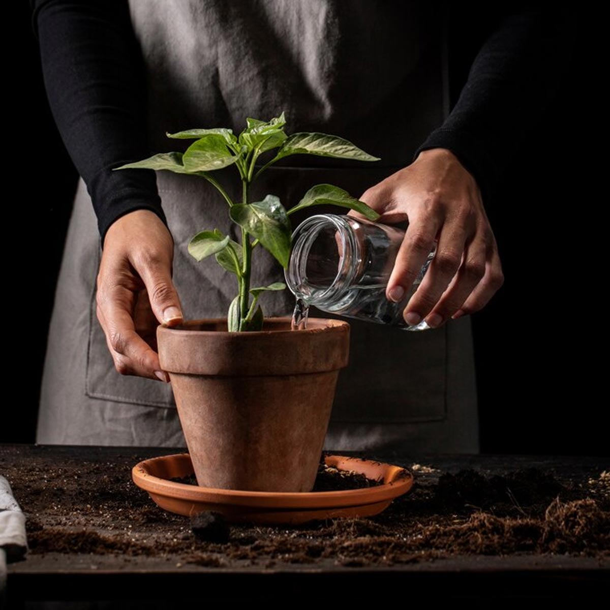 what to do with old soil from pots