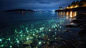 Bioluminescent Beach