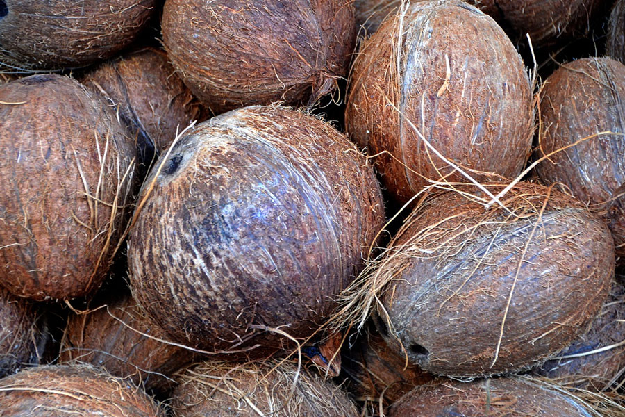 Coconut shell uses in Crafts