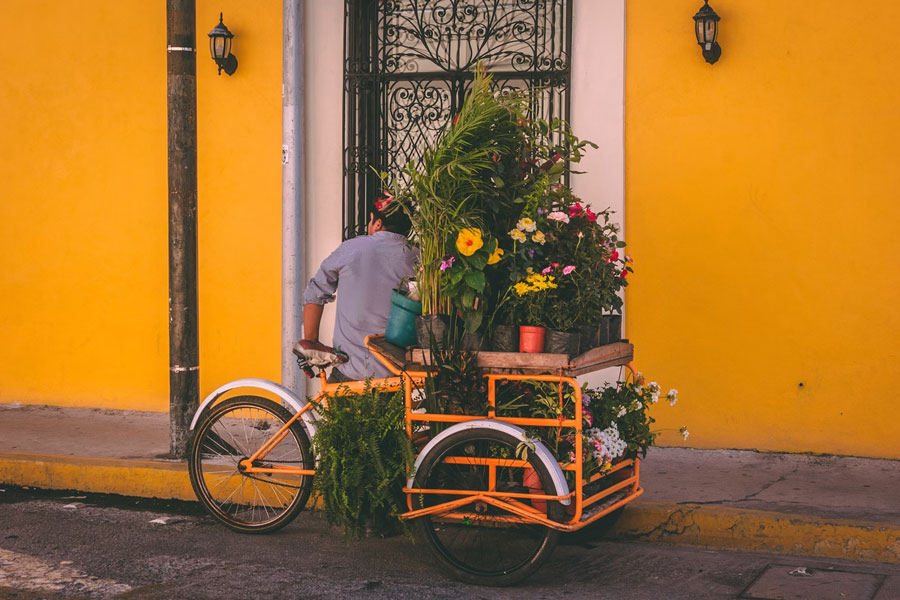 Gardening decoration Ideas