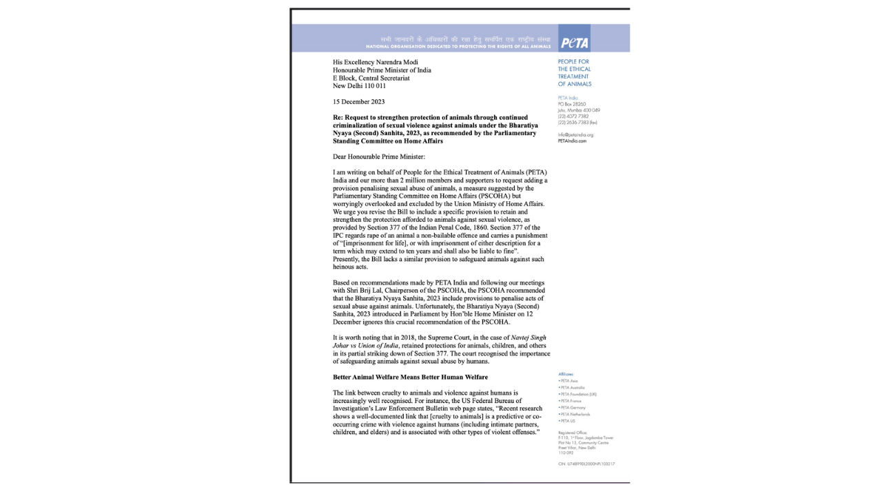 INSIDE IMAGE RUPSHA PETA