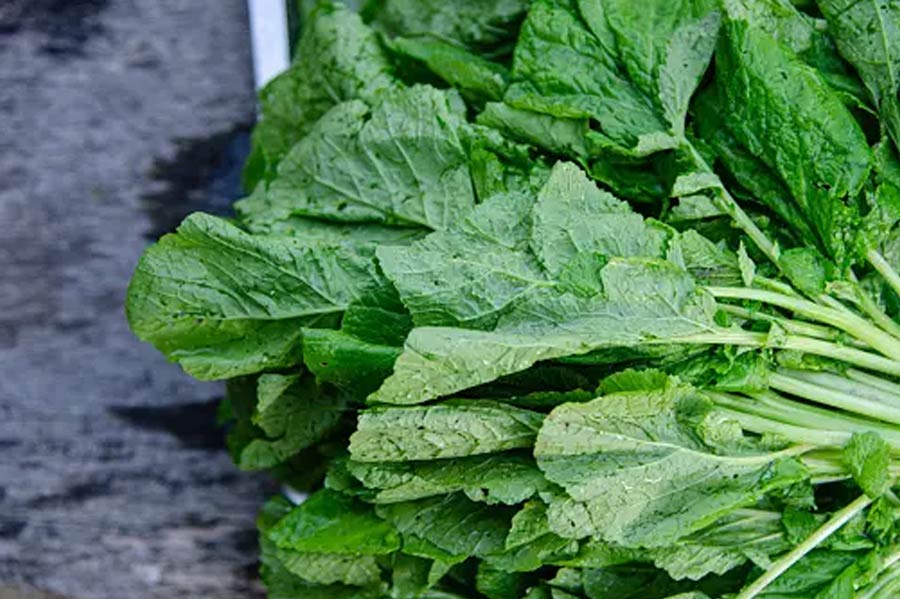 Mustard Greens