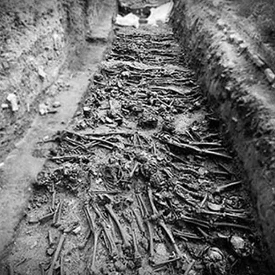 Poveglia island myth