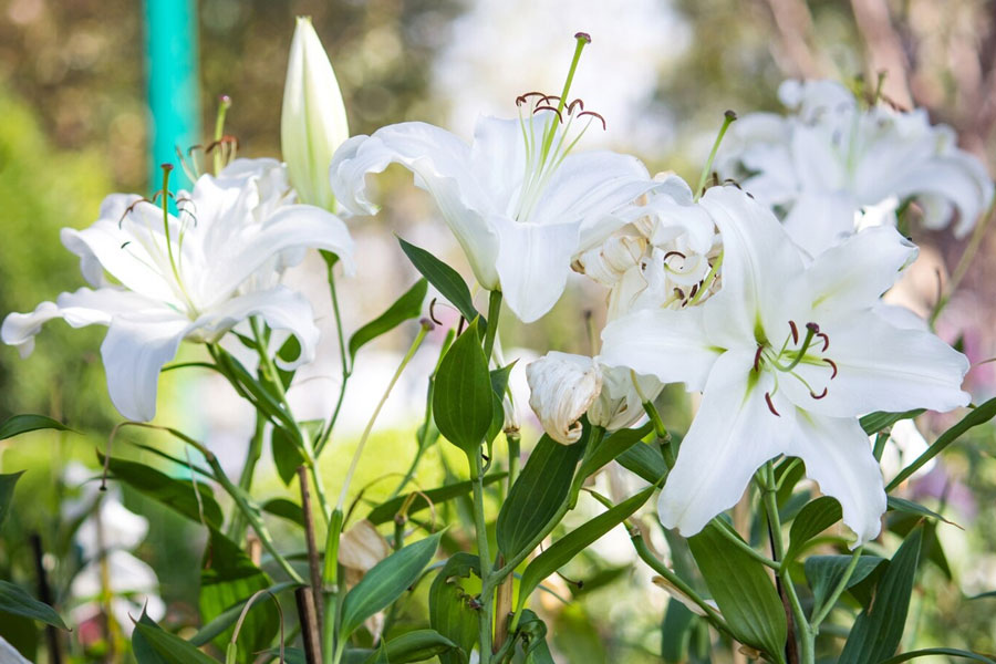 Protect From Rodents