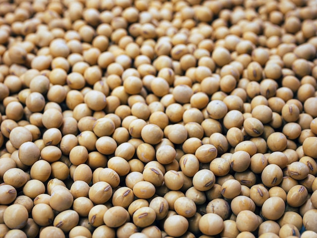 Soybean Water