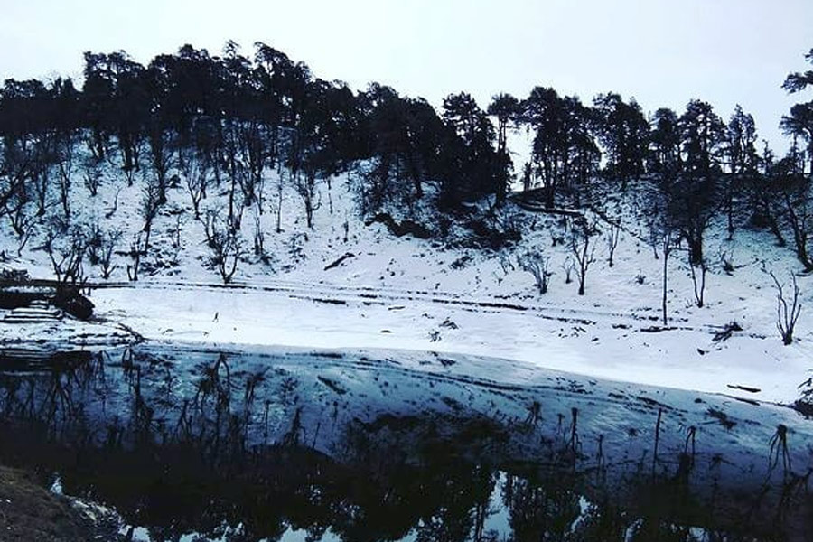 Why is Munsiyari famous