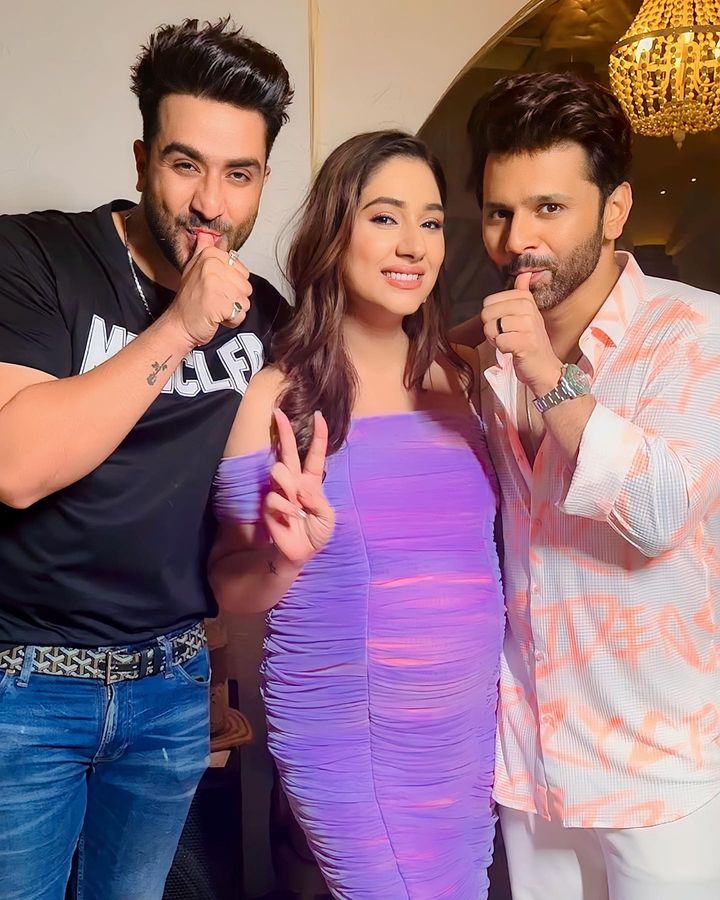 aly goni rahul bigg boss friendship