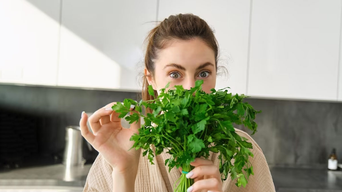 सर्दियों में धनिया पत्ती की चटनी जरूर खाएं, सेहत को मिलते हैं कई फायदे