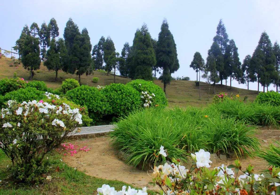 deolo hill near tourist places