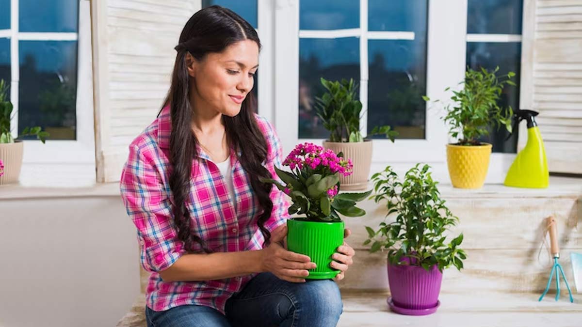 5 Low-maintenance Flowering Plants For Your Home | HerZindagi