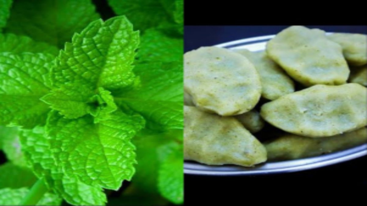  Healthy snacks:சுவையோடு, ஆரோக்கியத்தைத் தரும் புதினா கொழுக்கட்டை!