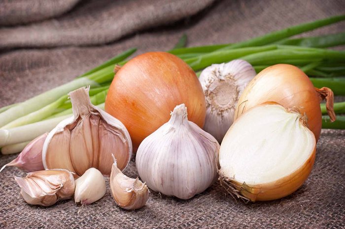 garlic and onion
