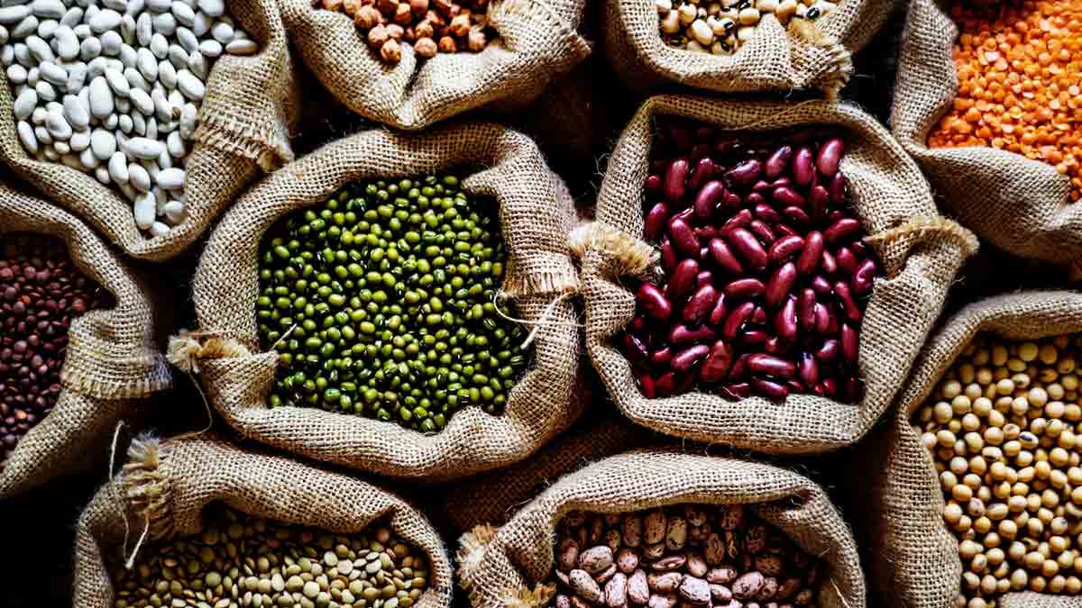 Barley To Quinoa: Top 5 Grains To Include In Your 2024 Meal Plan