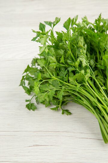 grow coriander at home in january