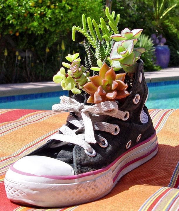 grow plants in shoes