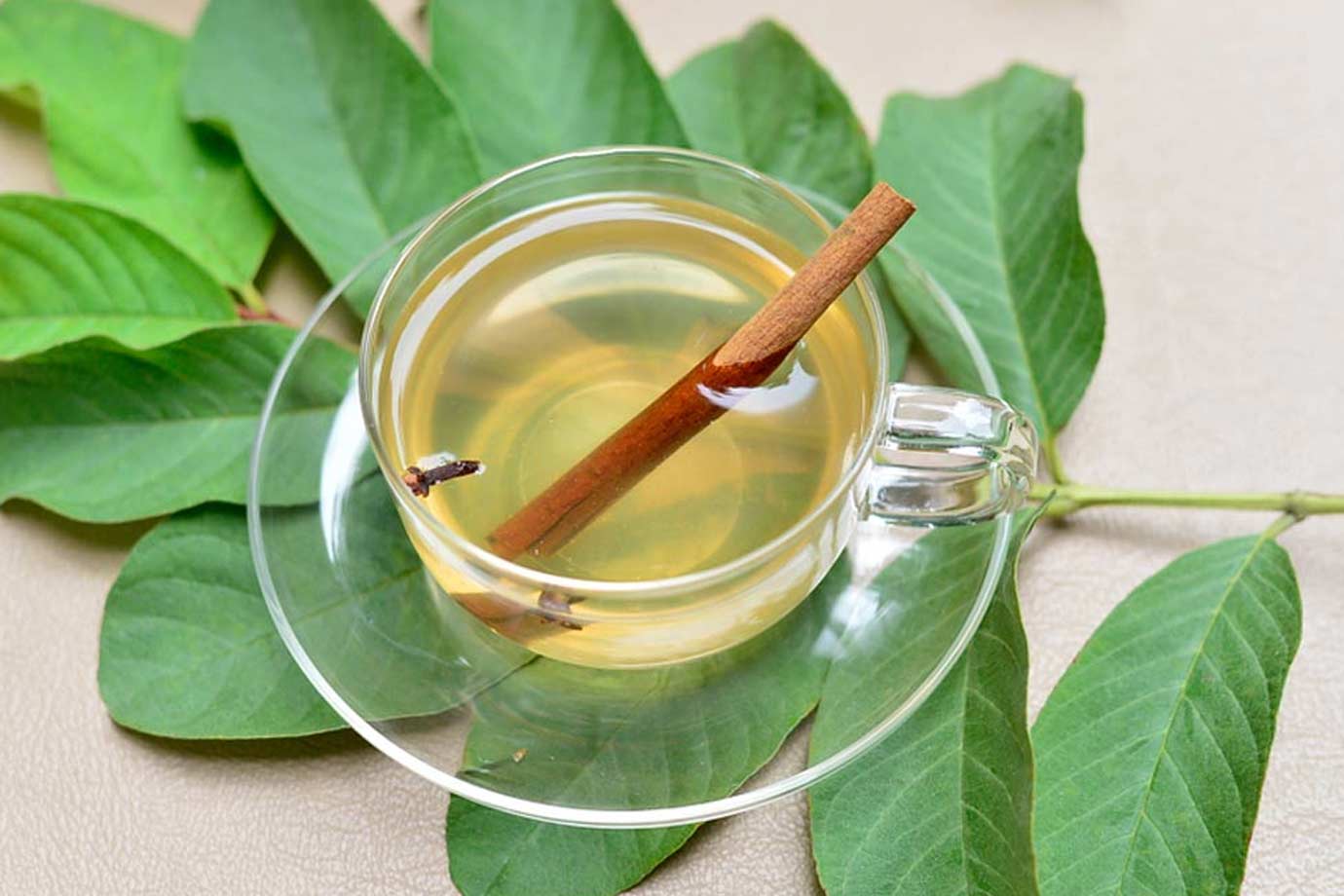 guava leaf tea benefits
