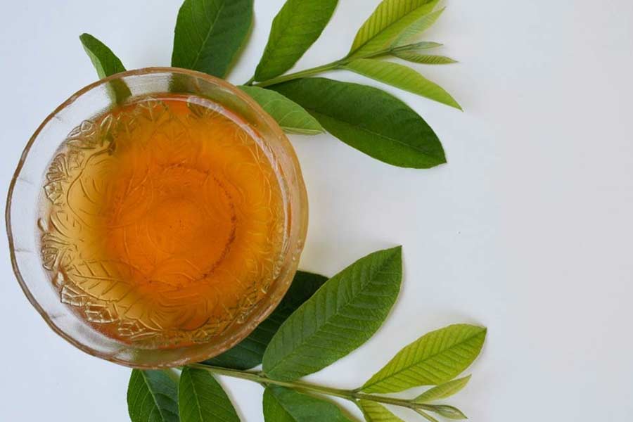guava leaf tea
