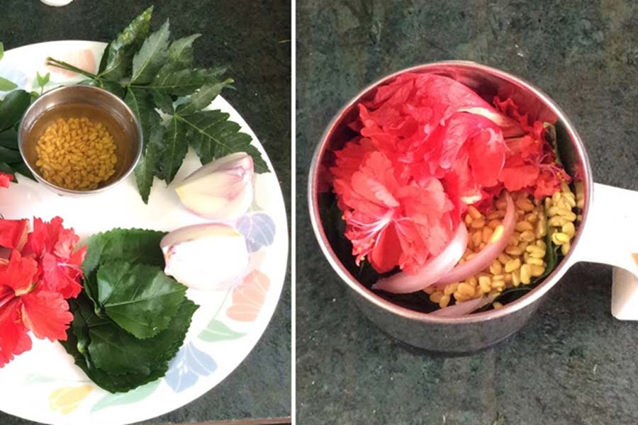 hibiscus for hair growth