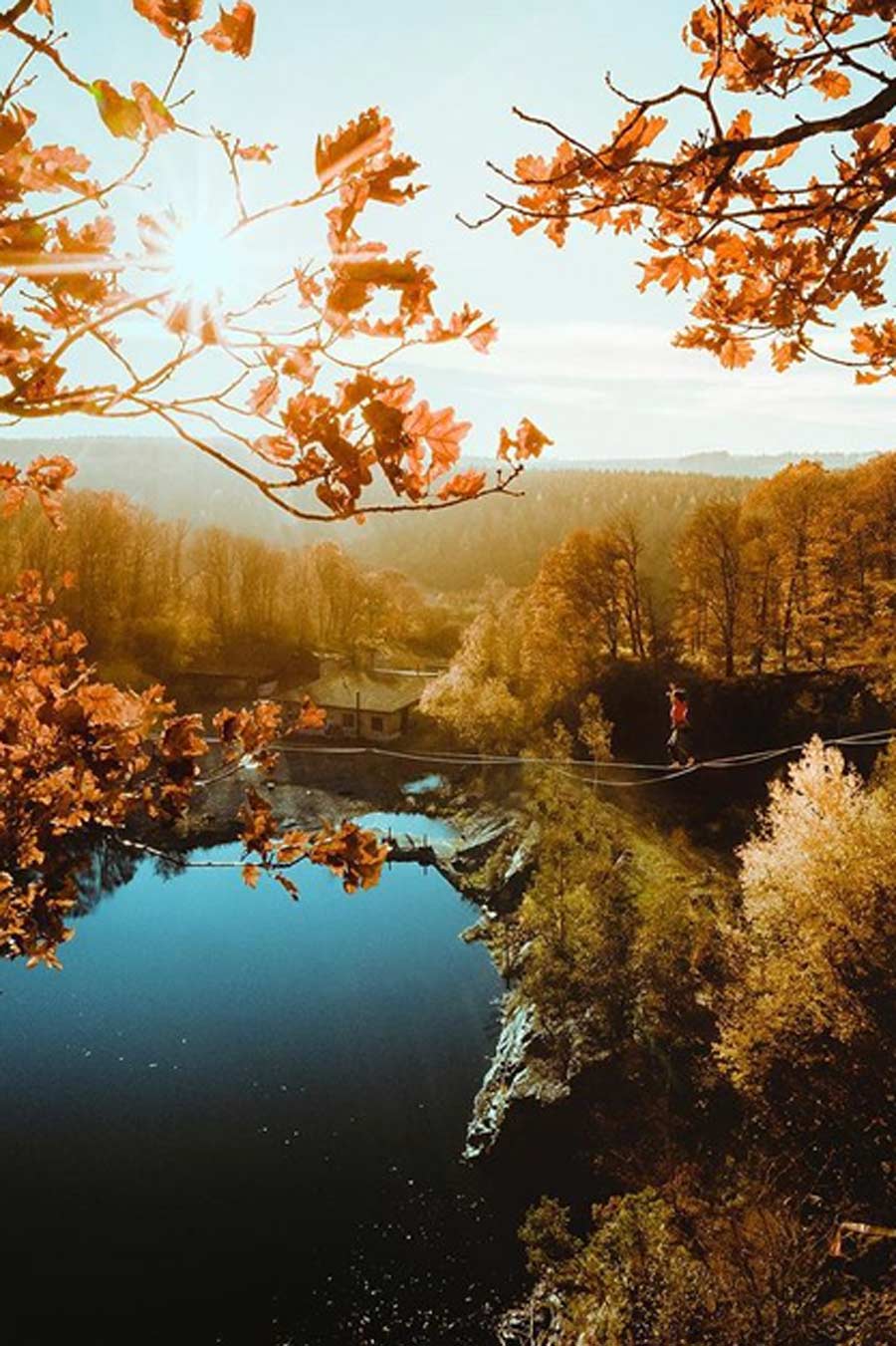 is traveller visit on black forest