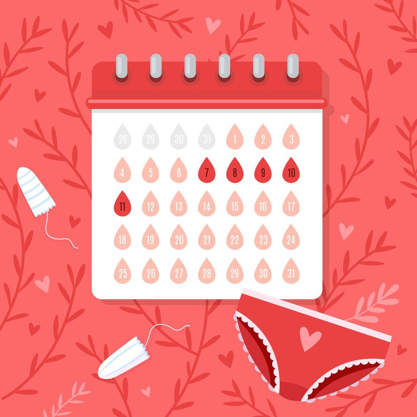 menstruation leave policy india