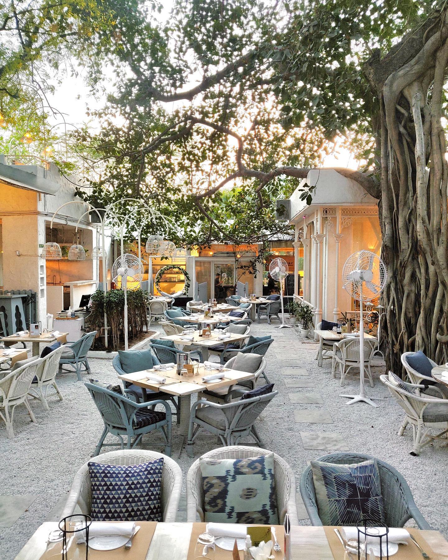 ny restaurant Olive Qutub