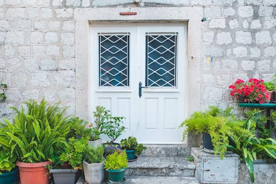 plants in main door for prosperity