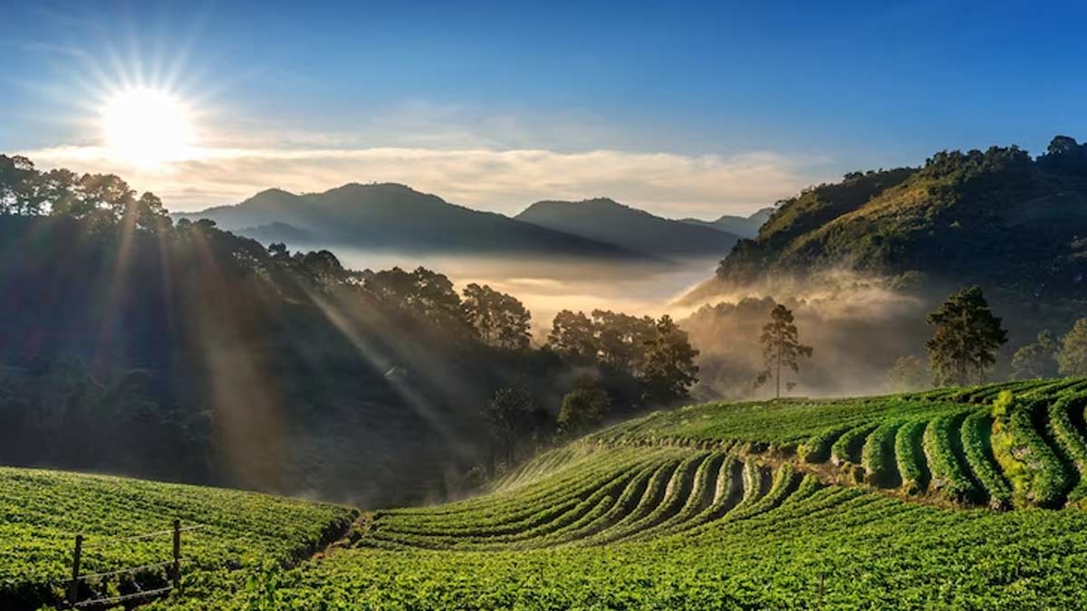 shillong new year hill station 